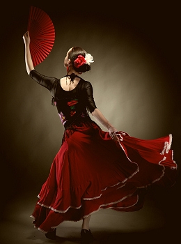 pericon fans flamenco